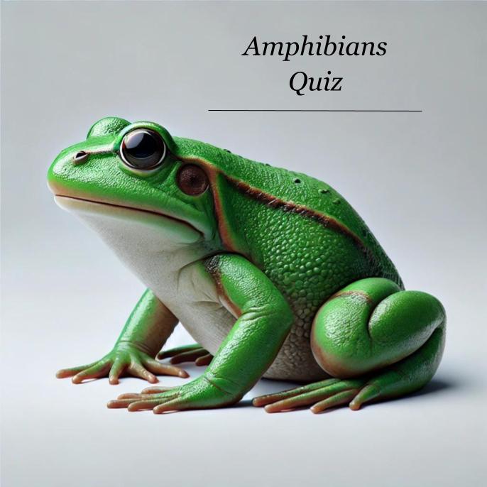 Amphibians Quiz