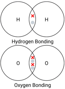 Covalent Bonding GCSE Quiz - Discover Tutoring