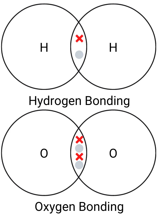Covalent bonding quiz
