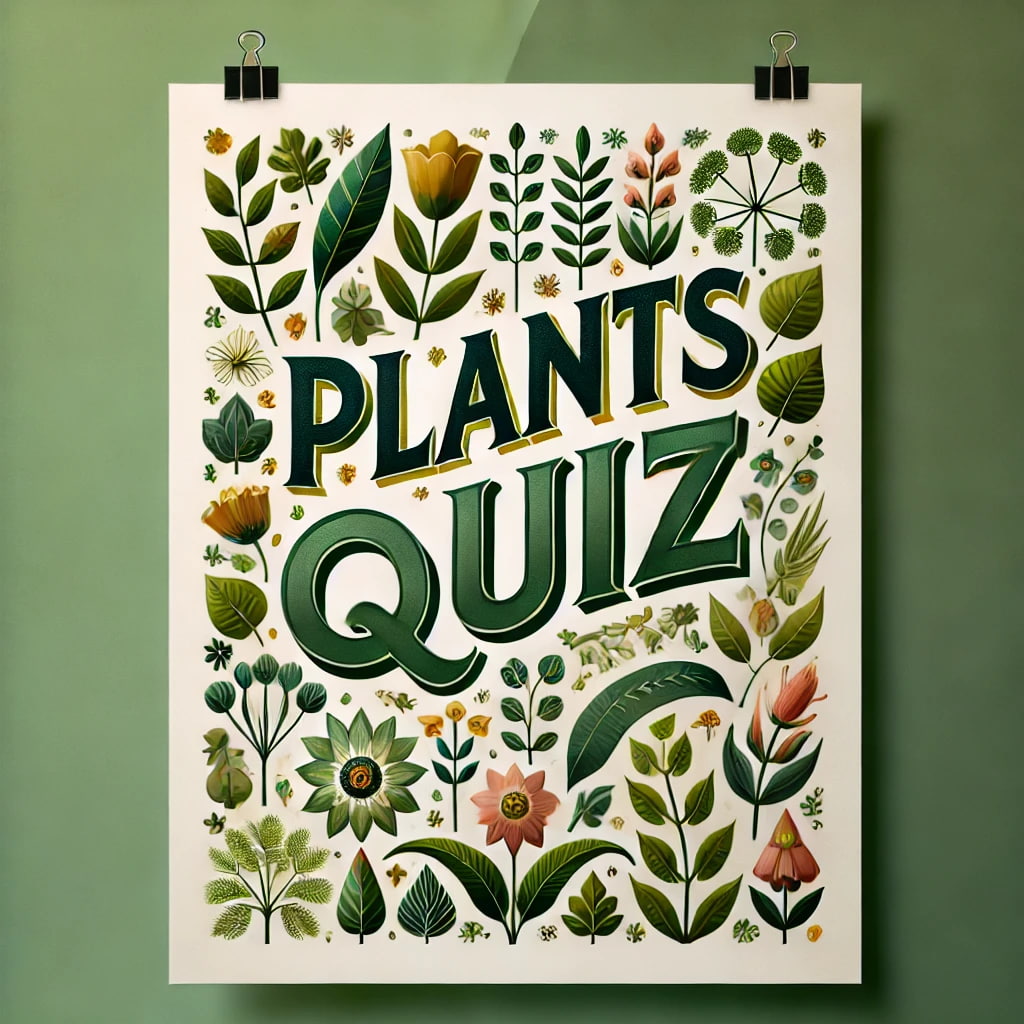 Plants Quiz