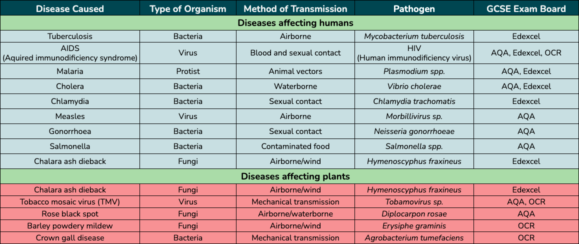 examples of diseases, pathogens and methods of transmission