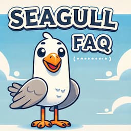 Seagull FAQ - do seagulls have webbed feet and more