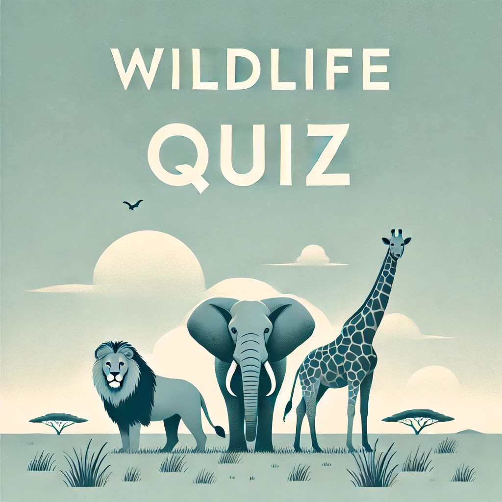 Wildlife Quiz