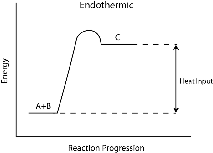 Endothermic Reaction Profile